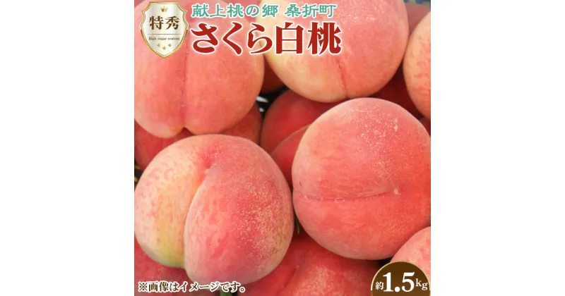 【ふるさと納税】No.168 もも（さくら白桃）特秀　1.5kg　桑折町産　JAふくしま未来　桃 ／ モモ 果物 フルーツ 送料無料 福島県 特産品