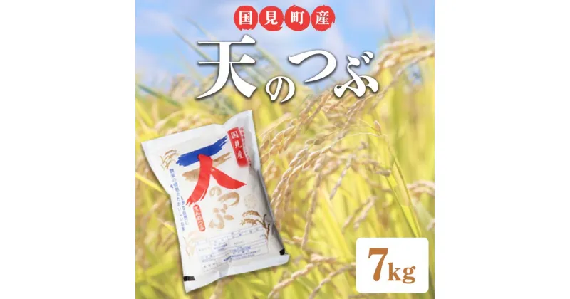 【ふるさと納税】【令和6年産】米　国見町産 天のつぶ　 7kg＜小坂アグリ株式会社＞ ※沖縄・離島への配送不可 ※2024年10月中旬～2025年2月頃に順次発送予定