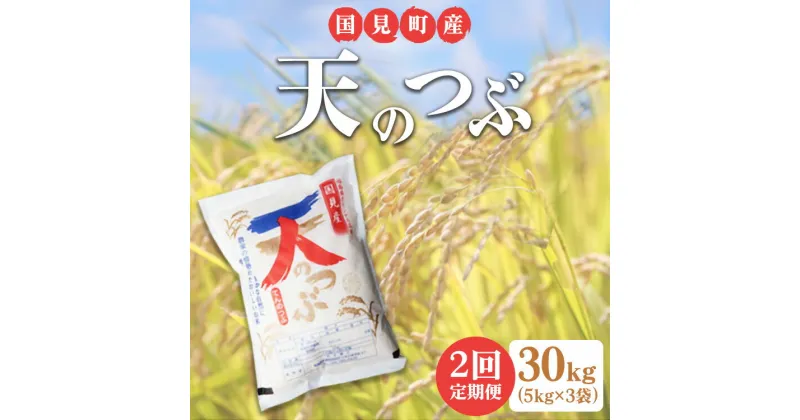 【ふるさと納税】【全2回定期便】【令和6年産】米　国見町産　天のつぶ 30kg　5kg×3袋　2回定期便 ※九州・沖縄県・離島への配送不可 ※2024年10月中旬～2025年2月頃に順次発送予定