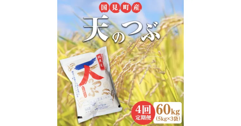 【ふるさと納税】【全4回定期便】【令和6年産】米　国見町産　天のつぶ 60kg　5kg×3袋　4回定期便 ※九州・沖縄県・離島への配送不可 ※2024年10月中旬～2025年4月頃に順次発送予定