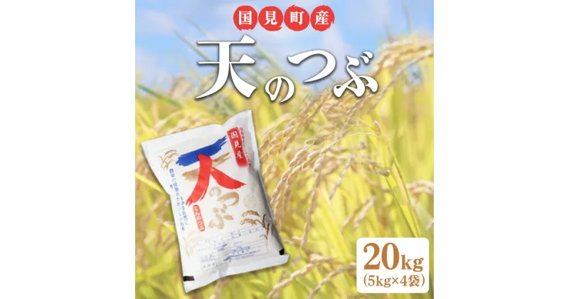 【ふるさと納税】【令和6年産】米　国見町産　天のつぶ 20kg　5kg×4袋 ※九州・沖縄県・離島への配送不可 ※2024年10月中旬～2025年2月頃に順次発送予定