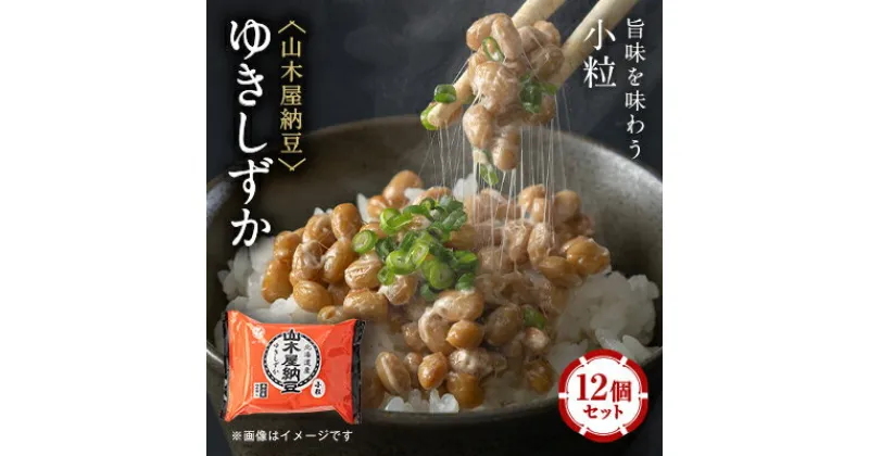 【ふるさと納税】山乃屋の山木屋納豆ゆきしずか12個セット【配送不可地域：離島】【1430862】