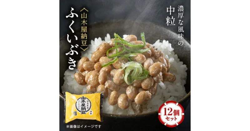 【ふるさと納税】山乃屋の山木屋納豆ふくいぶき12個セット【配送不可地域：離島】【1430868】