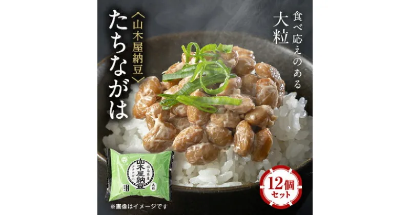 【ふるさと納税】山乃屋の山木屋納豆たちながは12個セット【配送不可地域：離島】【1430870】