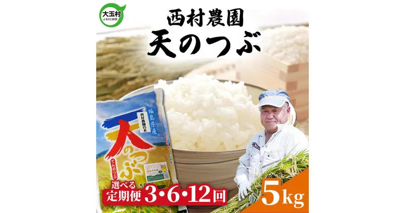 【ふるさと納税】 米 定期便 天のつぶ 5kg 選べる回数 3ヶ月 / 6ヶ月 12ヶ月 《 令和6年産 》 福島県 大玉村 西村農園 ｜ 新米 定期 3回 6回 12回 精米 白米 テンノツブ てんのつぶ コメ 送料無料 ｜nm-tt05-t-R6