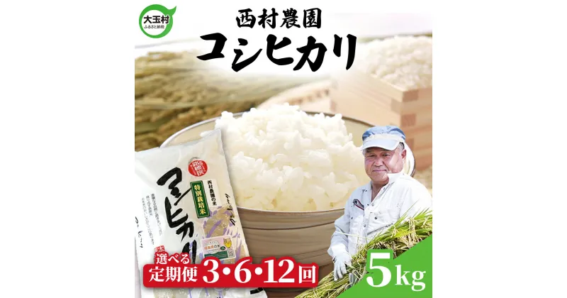 【ふるさと納税】 米 定期便 コシヒカリ5kg 選べる回数 3ヶ月 / 6ヶ月 12ヶ月 《 令和6年産 》 福島県 大玉村 西村農園 ｜ 新米 定期 3回 6回 12回 精米 白米 こしひかり コメ 送料無料 ｜nm-kh5-t