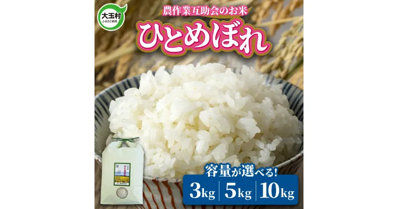 【ふるさと納税】 米 ひとめぼれ 3kg / 5kg / 10kg 選べる容量 【農作業互助会】【令和6年産 新米 】 ｜ 福島 大玉村 お米 米作り 令和6年産 精米 白米 こめ コメ ごはん 送料無料 ｜