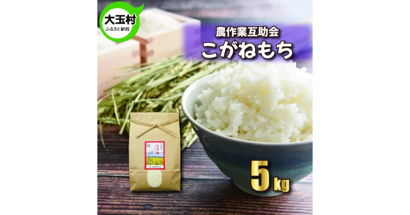 【ふるさと納税】【令和5年産】【 農業生産法人 農作業互助会 のお米】 こがねもち 5kg【06442】 ｜ お米 令和5年産 精米 もち もち米 餅米 もちごめ おこわ ｜