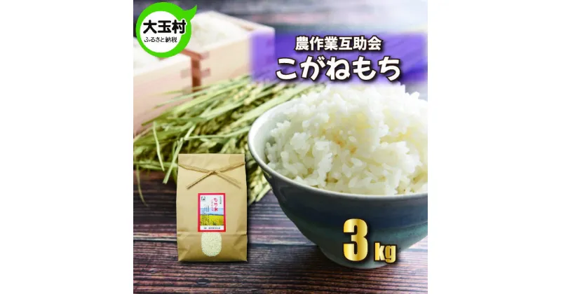 【ふるさと納税】 米 令和5年産 もち米 3kg こがねもち 農作業互助会 ｜ 福島県 大玉村 米作り 精米 餅米 餅 もち 赤飯 おこわ ｜ 06441