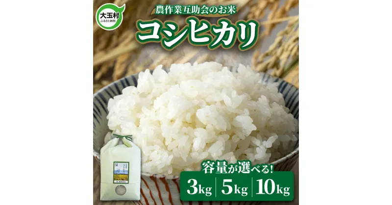 【ふるさと納税】 米 コシヒカリ 3kg / 5kg / 10kg 選べる容量 【農作業互助会】【令和6年産 新米 】 ｜ 福島 大玉村 お米 米作り こしひかり 令和6年産 精米 白米 こめ コメ 送料無料 ｜