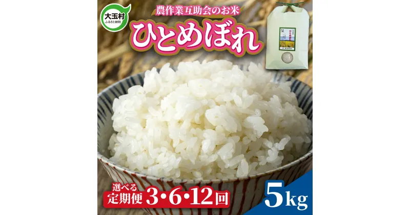 【ふるさと納税】 米 定期便 ひとめぼれ 5kg 選べる回数 3ヶ月 / 6ヶ月 12ヶ月 《 令和6年産 新米 》 福島県 大玉村 農作業互助会 ｜ 定期 3回 6回 12回 精米 白米 ヒトメボレ コメ 送料無料 ｜