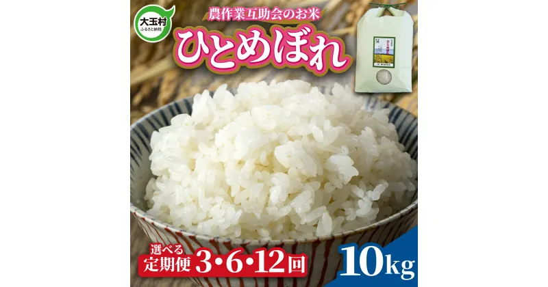 【ふるさと納税】 米 定期便 ひとめぼれ 10kg 選べる回数 3ヶ月 / 6ヶ月 12ヶ月 《 令和6年産 新米 》 福島県 大玉村 農作業互助会 ｜ 定期 3回 6回 12回 精米 白米 こめ ごはん 60kg 120kg コメ ヒトメボレ 送料無料 ｜