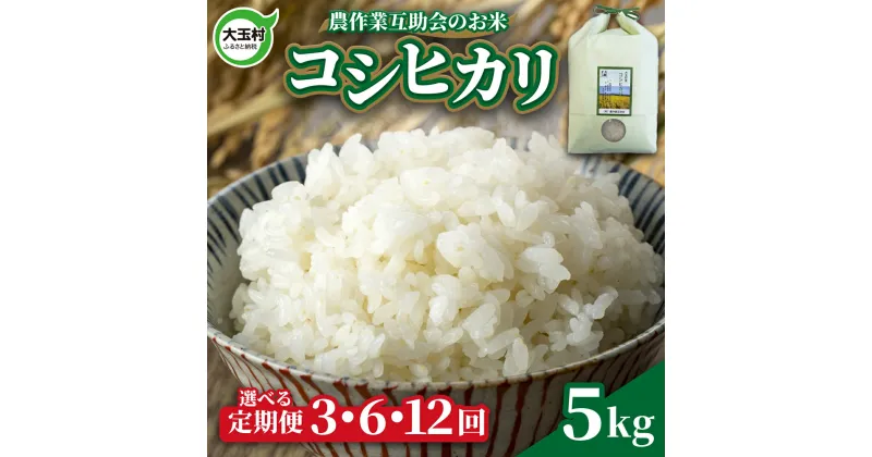 【ふるさと納税】 米 定期便 コシヒカリ 5kg 選べる回数 3ヶ月 / 6ヶ月 12ヶ月 《 令和6年産 新米 》 福島県 大玉村 農作業互助会 ｜ 定期 3回 6回 12回 精米 白米 こめ コメ 送料無料 ｜