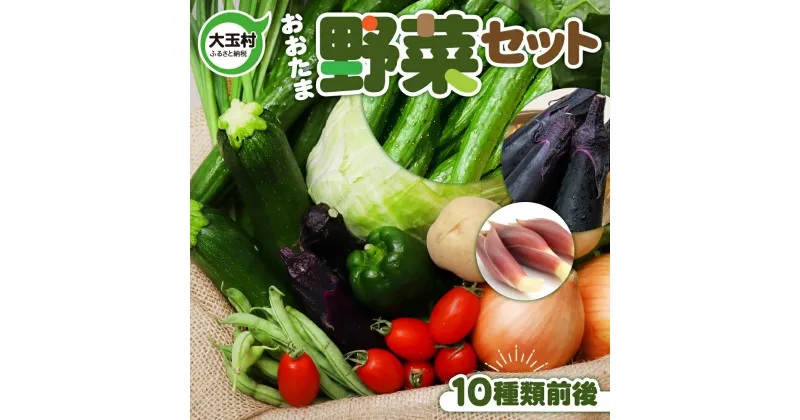 【ふるさと納税】 野菜 セット (10種類前後 詰め合わせ ) おまかせ お試し 旬 秋野菜 野菜セット SDGs 送料無料 5000円 5000円以下 採れたて 新鮮 BBQ バーベキュー アウトドア キャンプ 農家 野菜ジュース 野菜スープ トマト 玉ねぎ ナス きゅうり 福島 大玉村 ｜01104