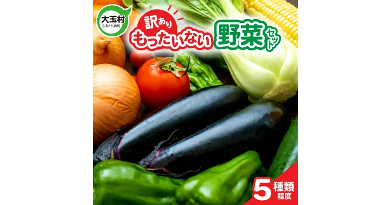 【ふるさと納税】 訳あり 野菜 セット (5種類程度) もったいない 野菜 詰め合わせ 夏野菜 新鮮 食べ切り SDGs フードロス 送料無料 季節 旬 おまかせ ナス きゅうり トマト 5000円 5000円以下 4000円 福島県 大玉村 ｜ 01105