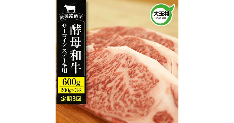 【ふるさと納税】【定期便】あだたら酵母牛サーロイン ステーキ用 600g（200g×3枚） 計3回 【02119】 ｜ 福島県 大玉村 牛 酵母牛 ステーキ 定期便 ｜