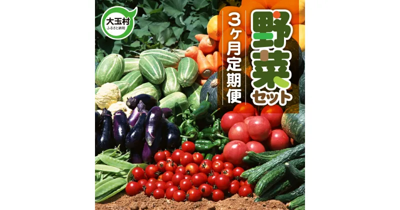 【ふるさと納税】 野菜 定期便 3ヶ月 野菜セット （10種類前後発送） やさい 新鮮 直売所 直送 野菜 詰め合わせ 送料無料 産直 採れたて 旬 夏野菜 野菜スープ 野菜ジュース トマト 玉ねぎ ナス ピーマン 福島県 大玉村 ｜ 01107