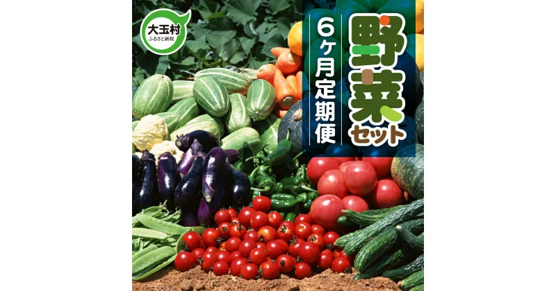 【ふるさと納税】 野菜 定期便 6ヶ月 野菜セット （10種類前後発送） やさい 新鮮 直売所 直送 野菜 詰め合わせ 送料無料 産直 採れたて 旬 夏野菜 野菜スープ 野菜ジュース トマト 玉ねぎ ナス ピーマン 福島県 大玉村 ｜ 01108