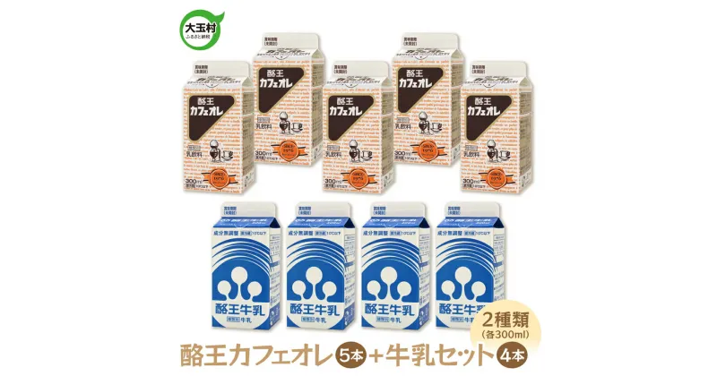 【ふるさと納税】 酪王カフェオレ （300ml×5本） 牛乳 （300ml×4本） 9本 セット【01132】 酪王 コーヒー カフェオレ 珈琲 生乳 ミルク カフェオーレ 乳飲料