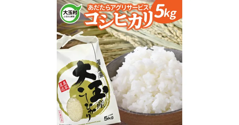 【ふるさと納税】 米 新米 コシヒカリ 5kg 《 令和6年産 》 福島県 大玉村 あだたらアグリサービス 精米 白米 お米 ご飯 ごはん ｜as-kh05-R6