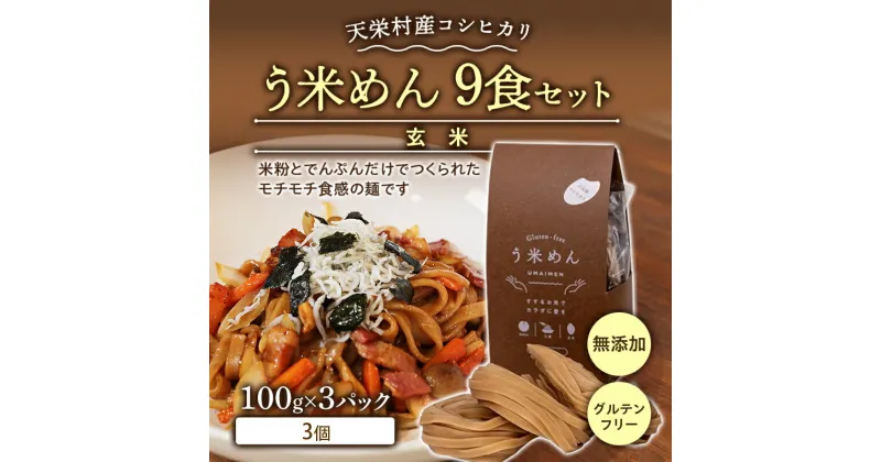 【ふるさと納税】天栄村産コシヒカリ玄米 う米めん 9食セット 無添加 グルテンフリー F21T-074