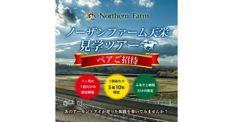 【ふるさと納税】月1回限定開催 ノーザンファーム天栄見学ツアー ペア招待 UMAJO 期間限定 東北 福島県 天栄村 競馬 ノーザン 応援 思い出 記念 F21T-091