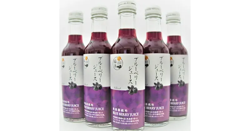 【ふるさと納税】南会津町産　無農薬ブルーベリージュース　200ml×5本入　【果汁飲料・野菜飲料・ブルーベリージュース・ジュース・無農薬】