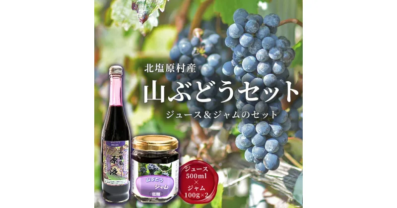 【ふるさと納税】北塩原村産「山ぶどう」セット(山ぶどうジュース500ml 1本・山ぶどうジャム100g×2) 【 ふるさと納税 人気 おすすめ ランキング ブドウジュース 果汁100% ジャム 低糖 果物 山ぶどう 山葡萄 ぶどう ブドウ 葡萄 福島県 北塩原村 送料無料 】 KBN003