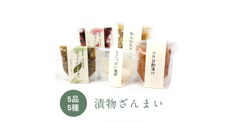 【ふるさと納税】漬物ざんまい (5種5品) 添加物不使用 漬物 詰合せ セット 食べ比べ 添加物なし 野菜 ご飯のお供 お茶漬け おつまみ お茶請け 薬味 小分け 食品 F4D-0116