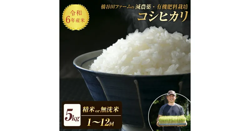 【ふるさと納税】《選べる精米方法・定期便》 令和6年産 減農薬・有機肥料栽培 コシヒカリ 精米 5kg 米 お米 おこめ ご飯 ごはん 福島県 西会津町 F4D-0729var