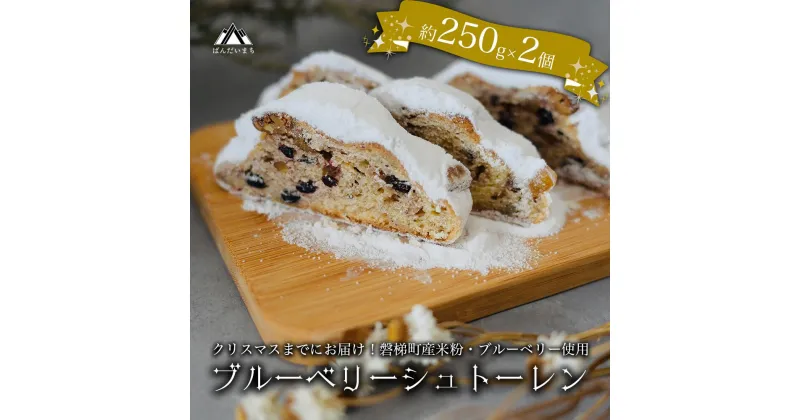 【ふるさと納税】【クリスマスまでに発送】ブルーベリー シュトーレン （小） 250g前後×2個