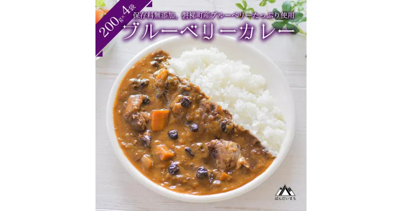 【ふるさと納税】ブルーベリーカレー