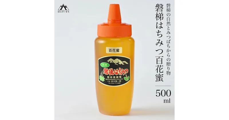 【ふるさと納税】国産はちみつ　磐梯はちみつ　百花蜜　500g