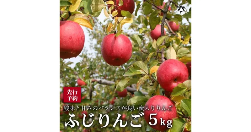 【ふるさと納税】【先行受付】磐梯町産ふじりんご※2024年12月頃から順次発送