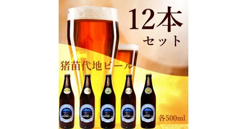 【ふるさと納税】猪苗代地ビール 500ml 4種類3セット　【 クラフトビール お酒 酒 地ビール ビール 飲み比べセット セット 】