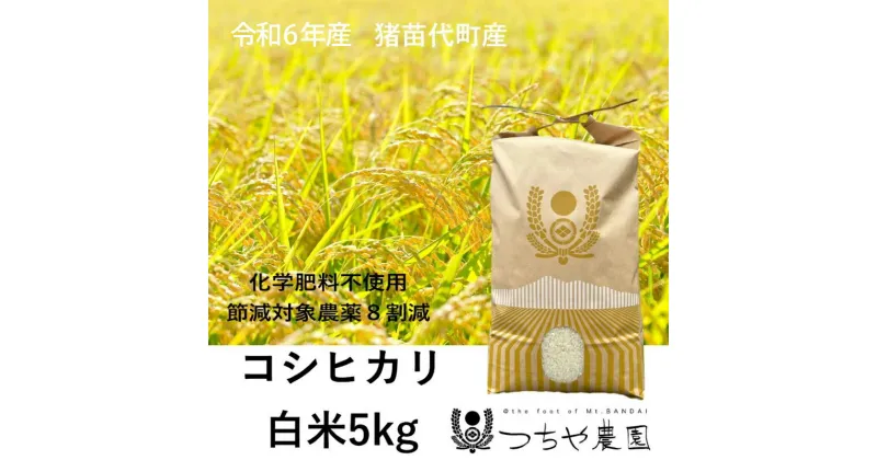 【ふるさと納税】【令和6年産新米】猪苗代町産 特別栽培米コシヒカリ 5kg（精米）　お米 米 ひとめぼれ 　お届け：2024年11月1日～2025年10月31日