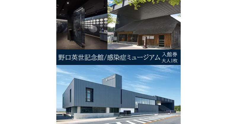 【ふるさと納税】野口英世記念館・感染症ミュージアム共通入館券　大人1名　【 チケット 入場券 体験型の展示 子供 大人 学び 博物館 お出かけ 体験型 】