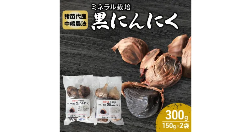 【ふるさと納税】黒にんにく 300g ミネラル栽培 中嶋農法 稲苗代町産 自家製栽培 稲苗代 福島