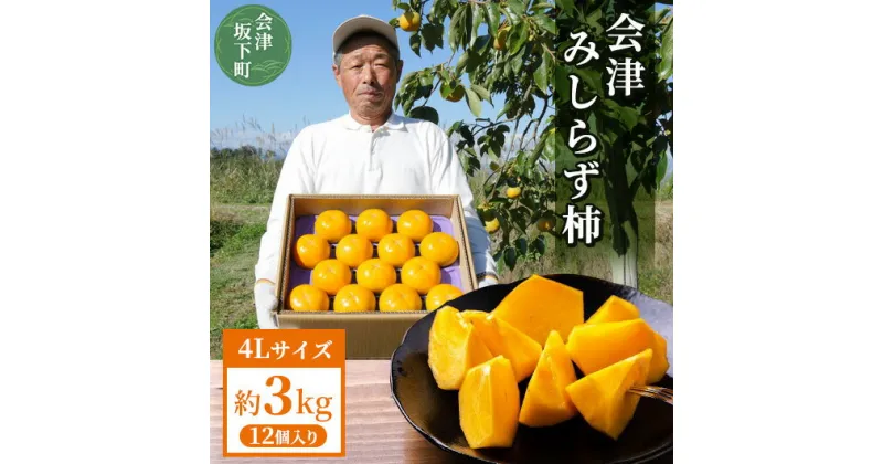 【ふるさと納税】 【予約開始】 柿 会津みしらず柿 4Lサイズ 12個入り 約3kg フルーツ 果物 ギフト 渋柿 会津 伊藤果樹園 ※2024年11月頃より順次発送予定 23-A