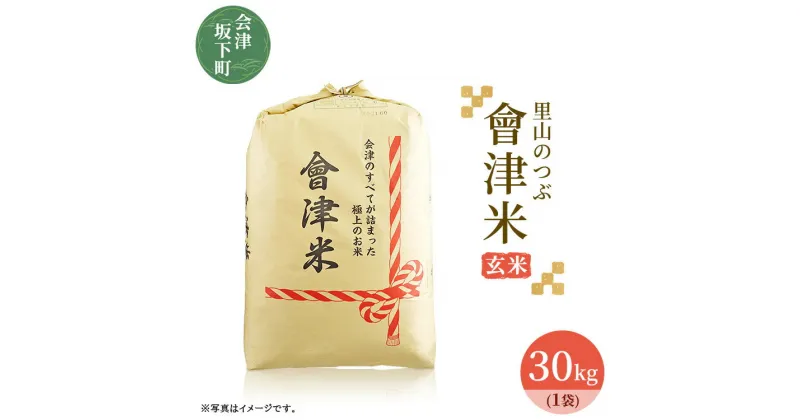 【ふるさと納税】3-J　里山のつぶ玄米30kg 令和6年産 ◇ ｜ 福島県会津坂下町オリジナルの玄米。米の一粒一粒が大きく、しっかりした食感、適度なもちもち感と甘みのあるお米です。 ※2024年9月下旬頃より順次発送予定