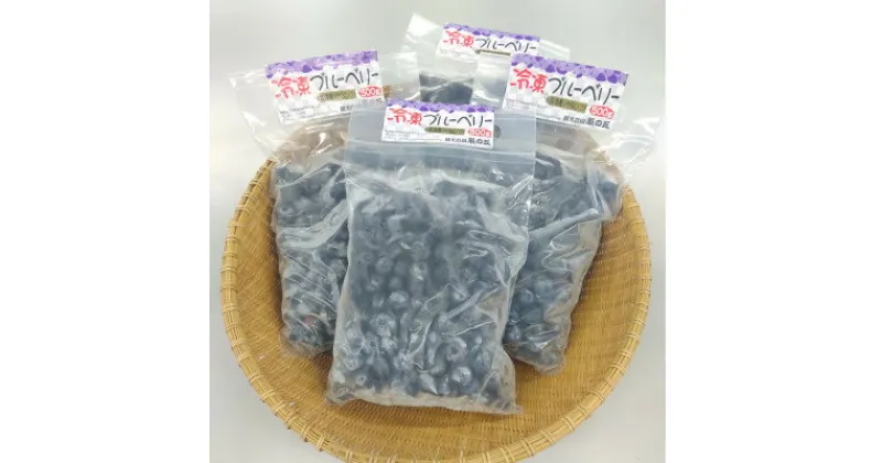 【ふるさと納税】冷凍ブルーベリー(500g×4パック)【配送不可地域：離島】【1362345】