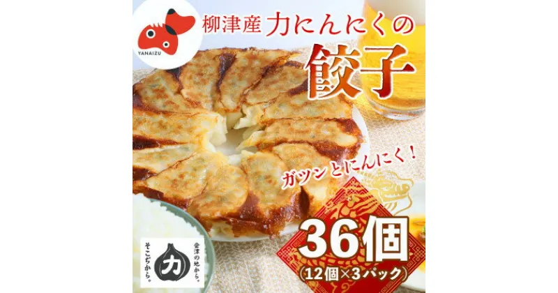 【ふるさと納税】【ガツンとにんにく!】力にんにくを使った餃子【冷凍】　36個(12個×3パック)【配送不可地域：離島】【1510129】