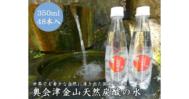 【ふるさと納税】奥会津金山天然炭酸の水（350mlペットボトル）48本　福島県　金山町　炭酸水　天然　350ml　ペットボトル　微炭酸　軟水　天然炭酸水