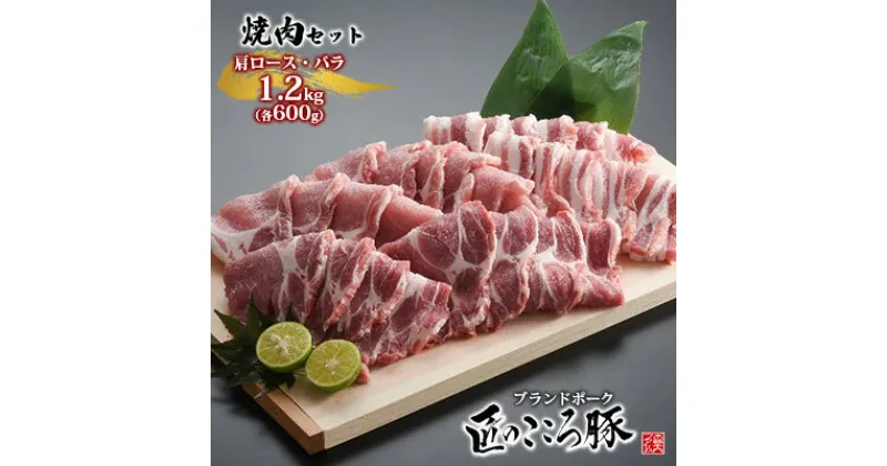 【ふるさと納税】ブランドポーク「匠のこころ豚」肩ロース・バラ　1.2kg（各600g）焼肉セット【◎安全・安心　JGAP・農場HACCP認証取得】　 お肉 バラ ロース 豚肉 焼肉 バーベキュー