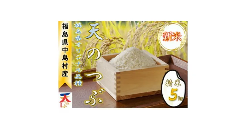 【ふるさと納税】【令和6年産新米/先行予約】中島村産『天のつぶ』(精米) 5kg【1542532】