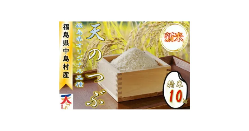 【ふるさと納税】【令和6年産新米/先行予約】中島村産『天のつぶ』(精米) 10kg【1542537】