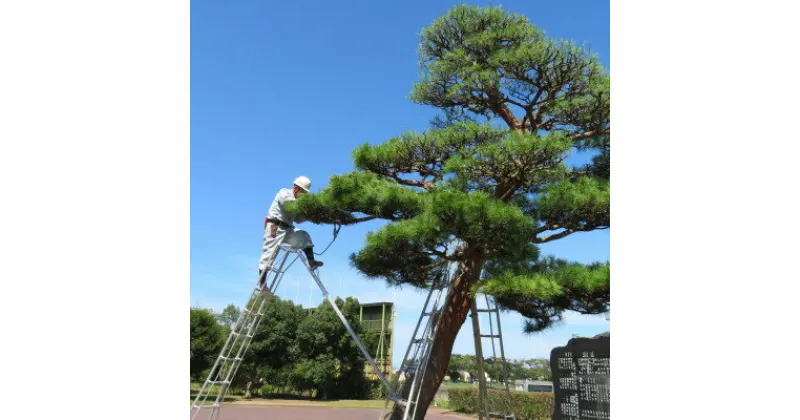 【ふるさと納税】庭木の手入れ【矢吹町及び周辺地域】【1462949】