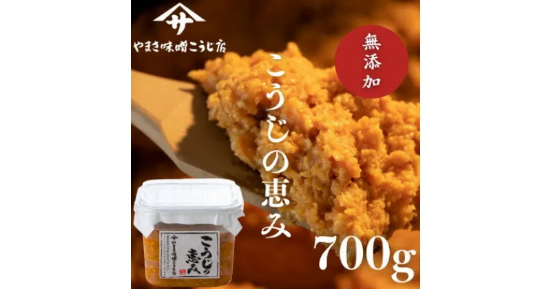 【ふるさと納税】こうじの恵み　～700g～【1510658】