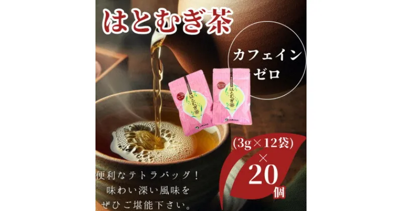 【ふるさと納税】【はとむぎ茶】白河地方特産ノンカフェイン(テトラバッグ3g×12袋)×20個【1517158】