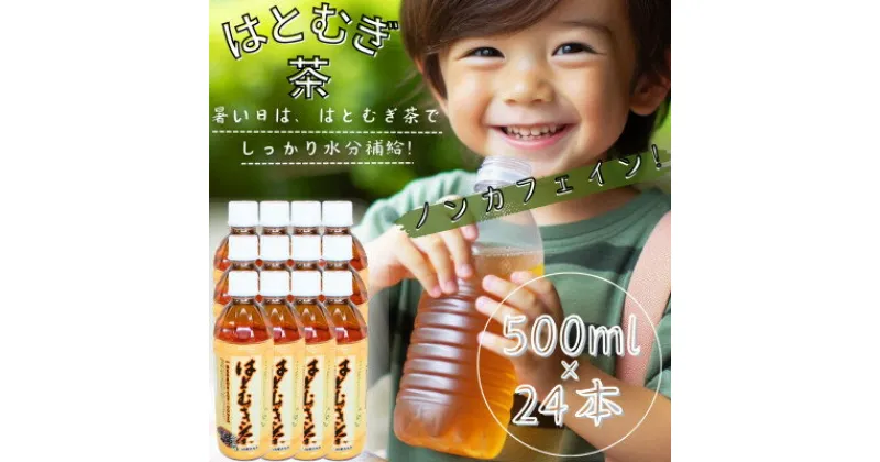 【ふるさと納税】【はとむぎ茶】白河地方特産ノンカフェイン(ペットボトル500ml×24本)×1箱【1517167】